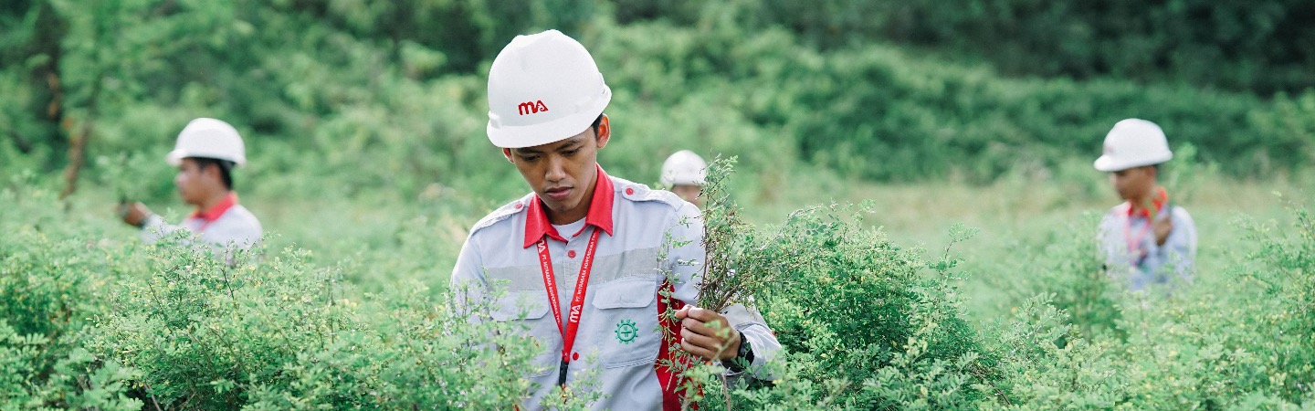 Sustainability Top Banner